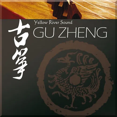Best Service Gu Zheng