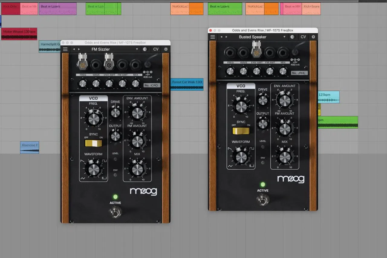 Moog MF-107S FreqBox - Image 3