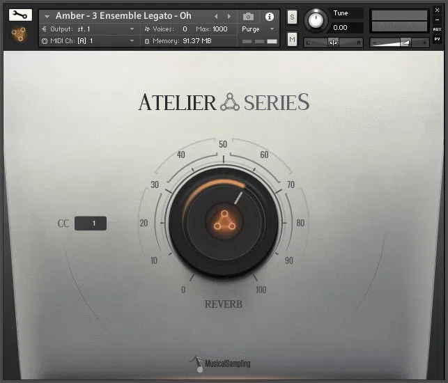 Musical Sampling Atelier Series Amber - Image 2