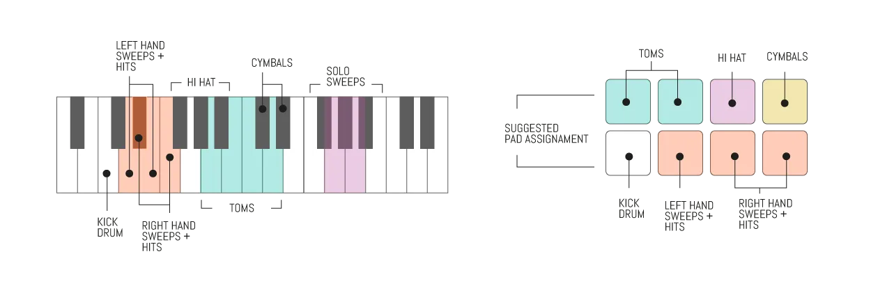 Sampleson Brushify - Image 2
