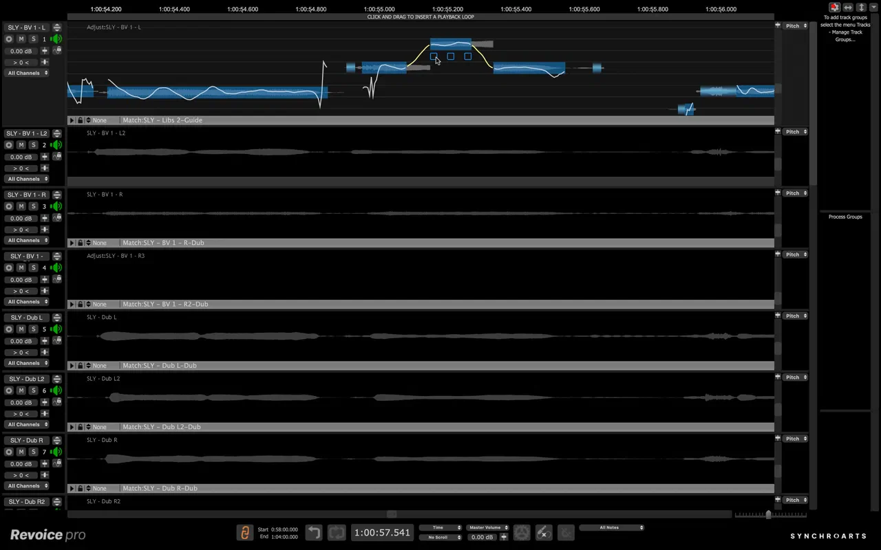 Synchro Arts Revoice Pro 5 Upgrade from Revoice Pro 4 - Image 3