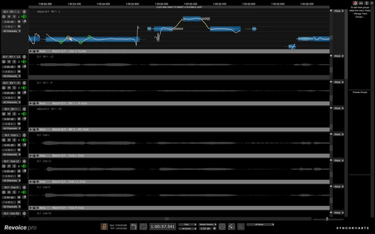 Synchro Arts Revoice Pro 5 Upgrade from Revoice Pro 4 - Image 7