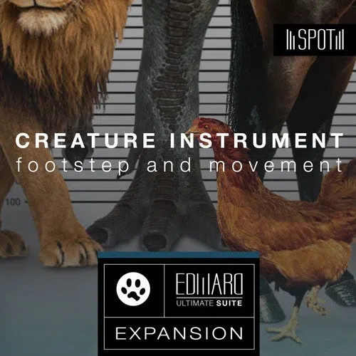 Tovusound Spot: EUS Expansion