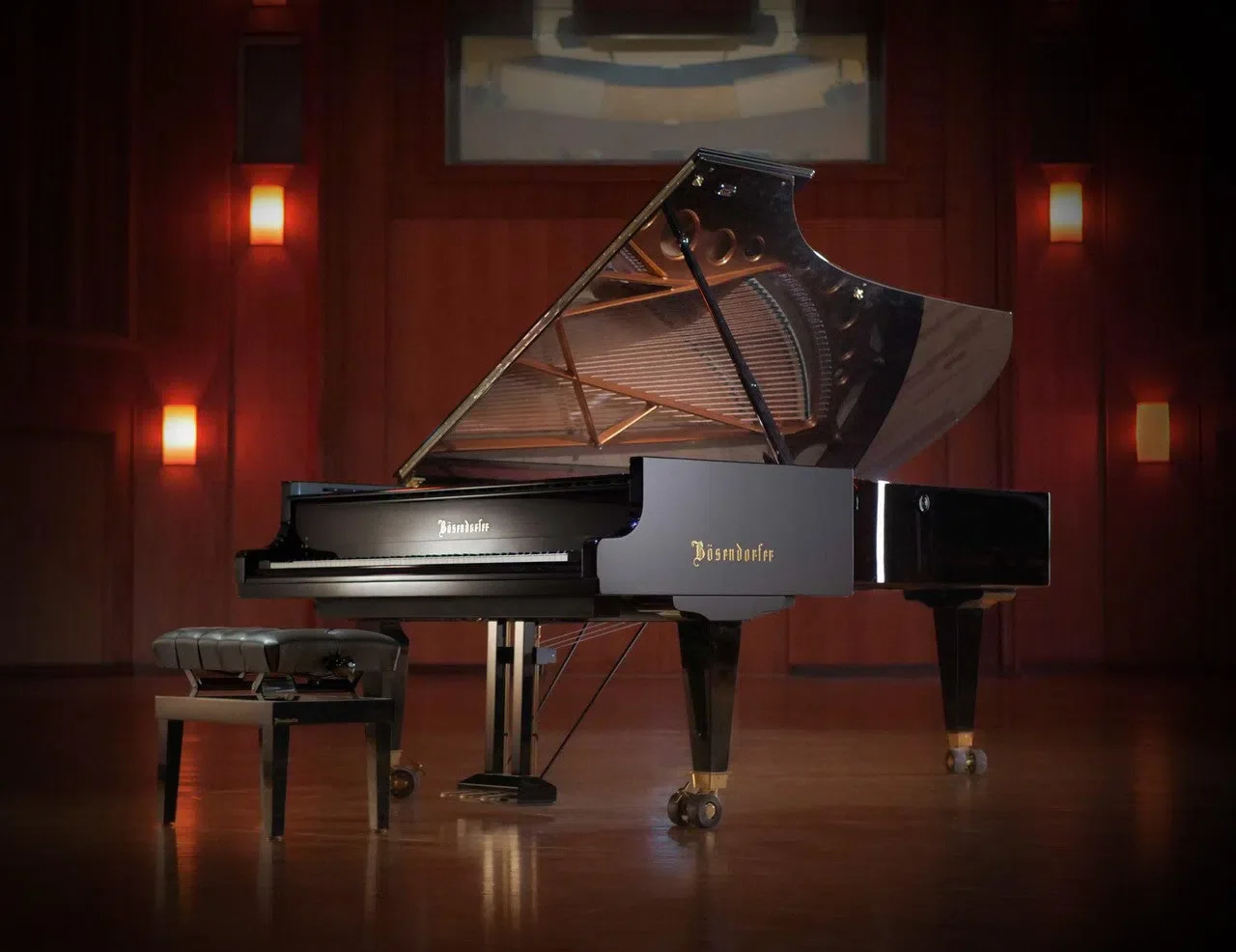 Vienna Synchron Bösendorfer Imperial Full - Image 2